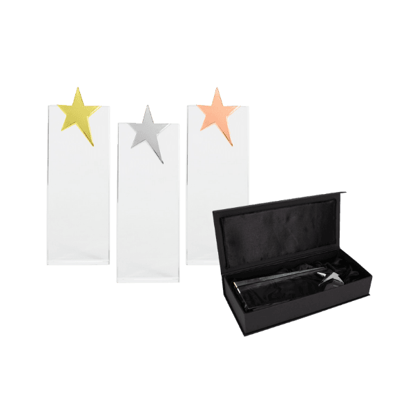 Trofeo Cristal Ledecky